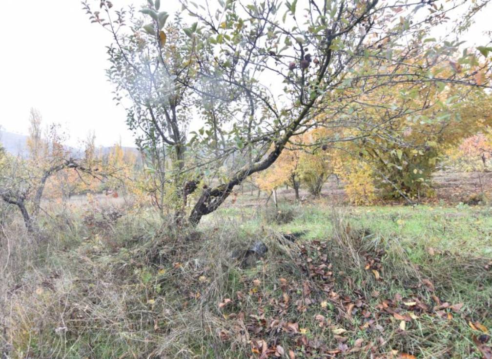 Segunda mano - Casa - Riopar - Castilla la mancha