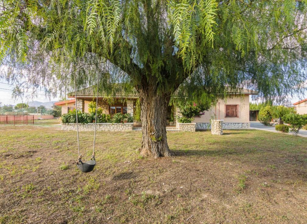 Segunda mano - Chalet - Crevillent - Comunidad valenciana