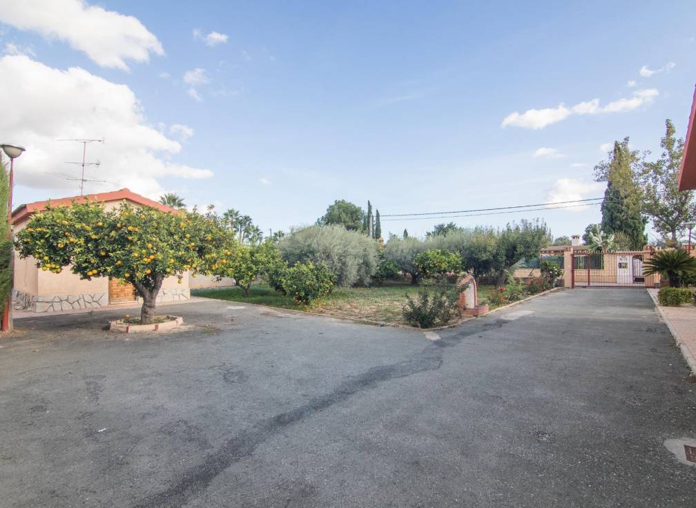 Segunda mano - Chalet - Crevillent - Comunidad valenciana