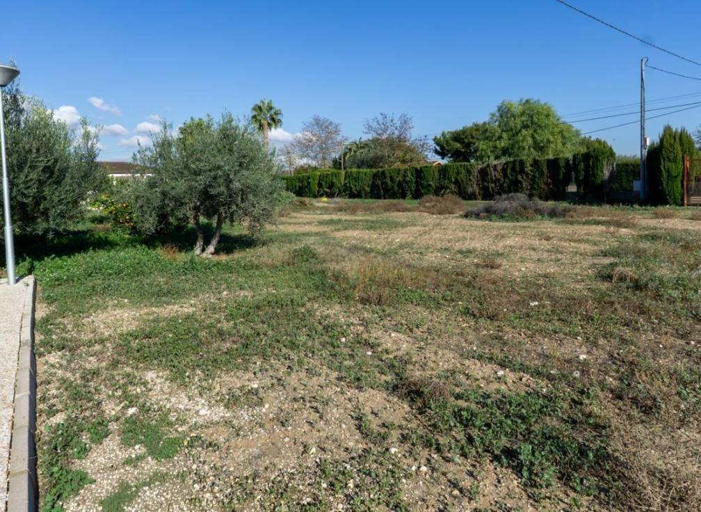 Segunda mano - Chalet - Crevillent - Comunidad valenciana