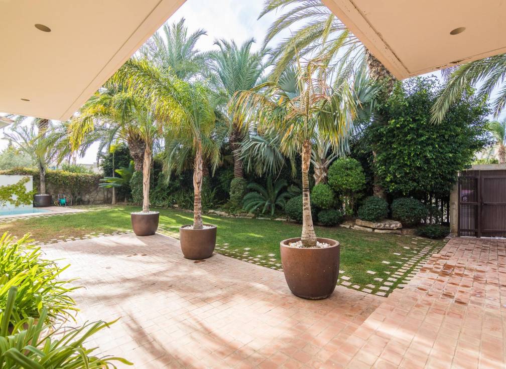 Segunda mano - Chalet - Elche - Altabix