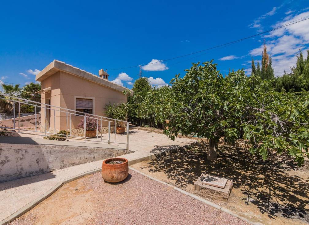 Segunda mano - Chalet - Elche - Bonavista