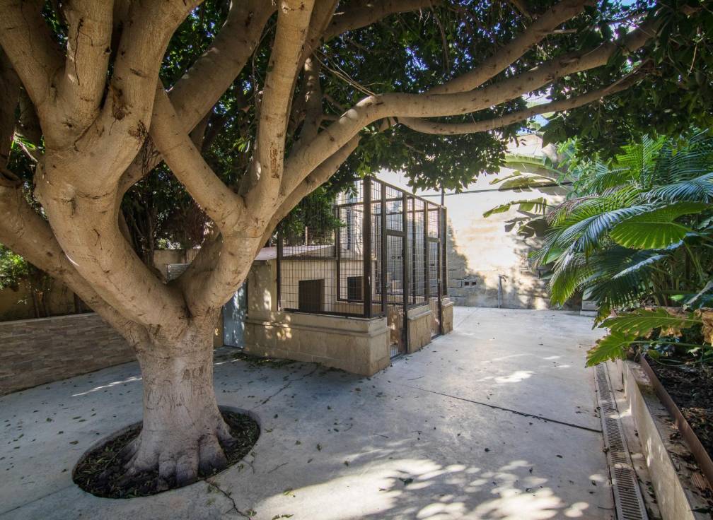 Segunda mano - Chalet - Elche - Bonavista