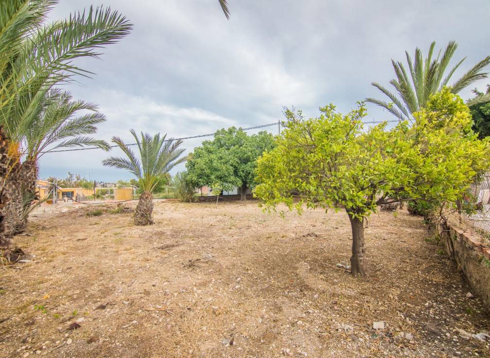 Segunda mano - Chalet - Elche - Carrus