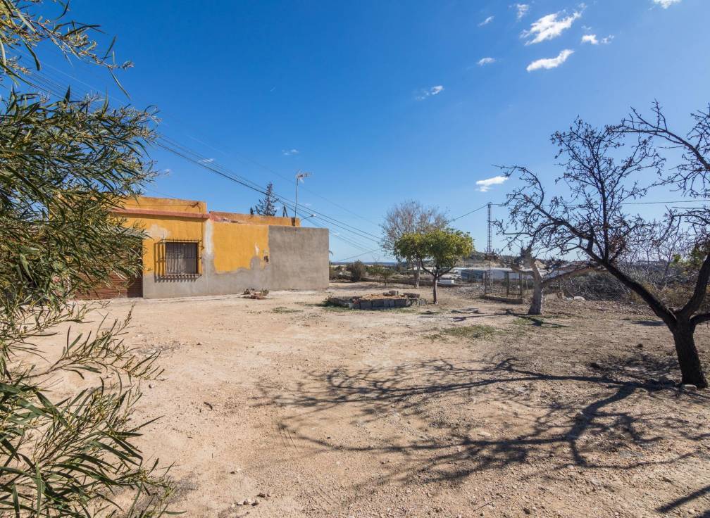 Segunda mano - Chalet - Elche - Carrus