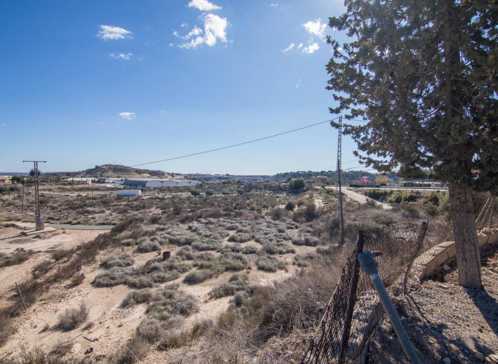 Segunda mano - Chalet - Elche - Carrus