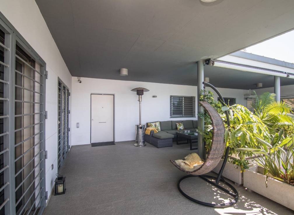 Segunda mano - Chalet - Elche - Ciudad Jardin