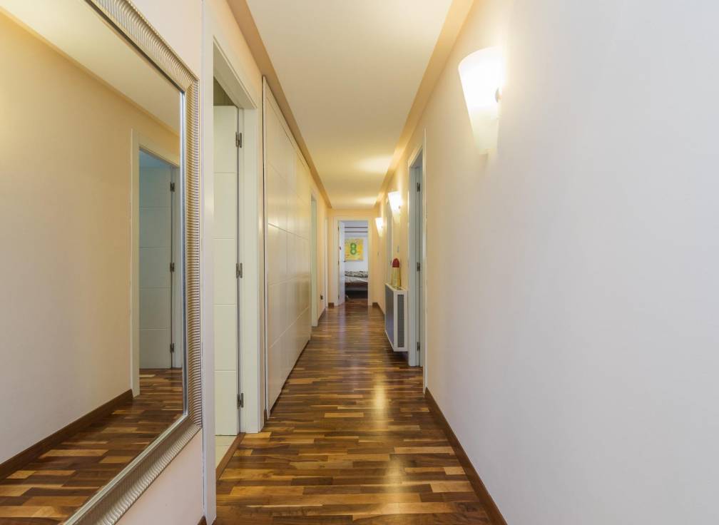 Segunda mano - Chalet - Elche - Ciudad Jardin