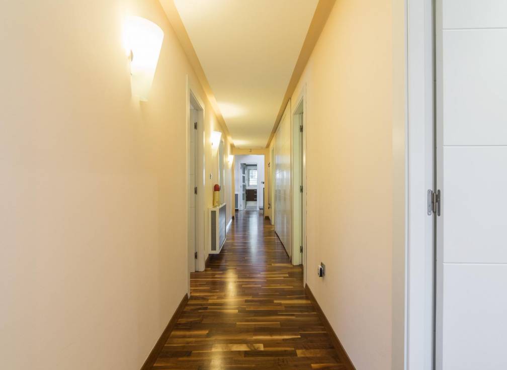 Segunda mano - Chalet - Elche - Ciudad Jardin