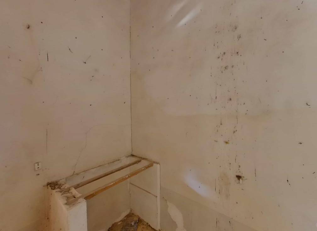 Segunda mano - Chalet - Elche - La Galia-Bonavista