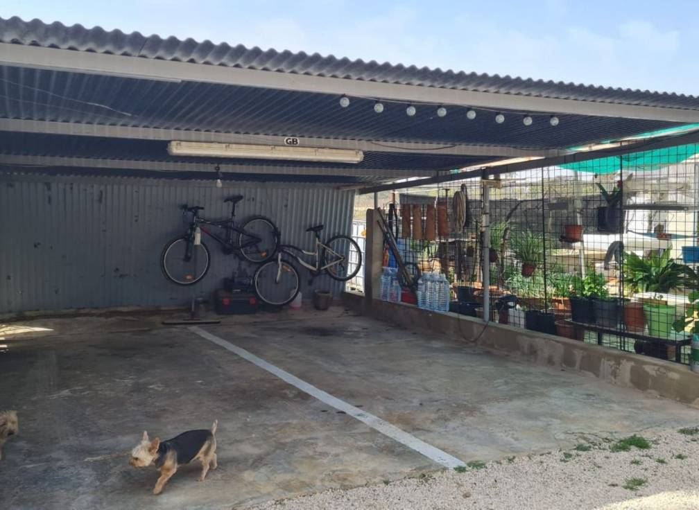 Segunda mano - Chalet - Elche Pedanías - Algoda