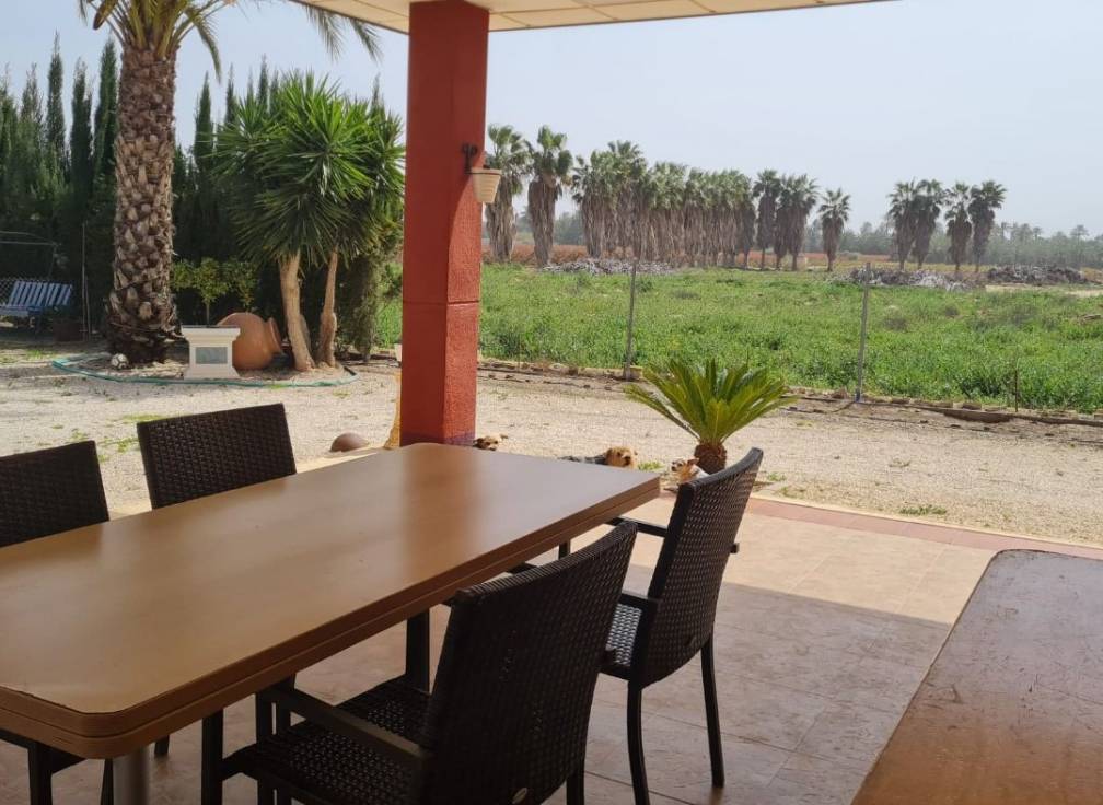 Segunda mano - Chalet - Elche Pedanías - Algoda