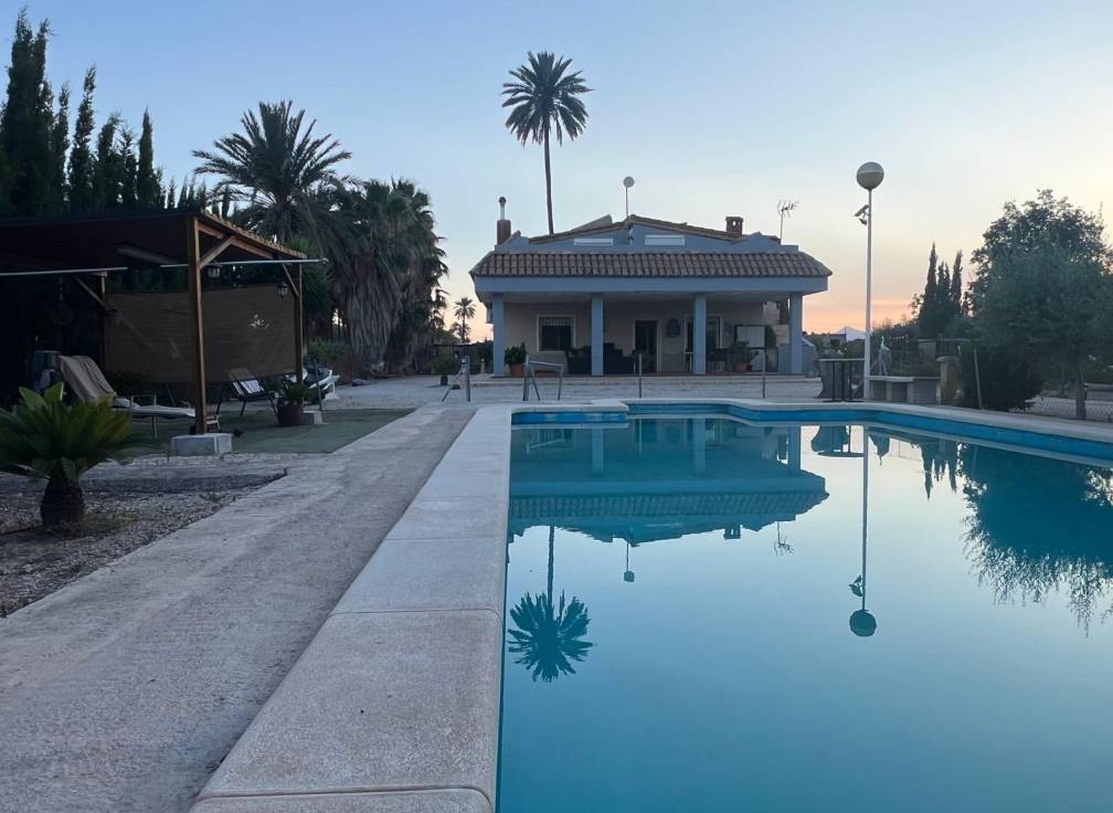 Segunda mano - Chalet - Elche Pedanías - Algoda