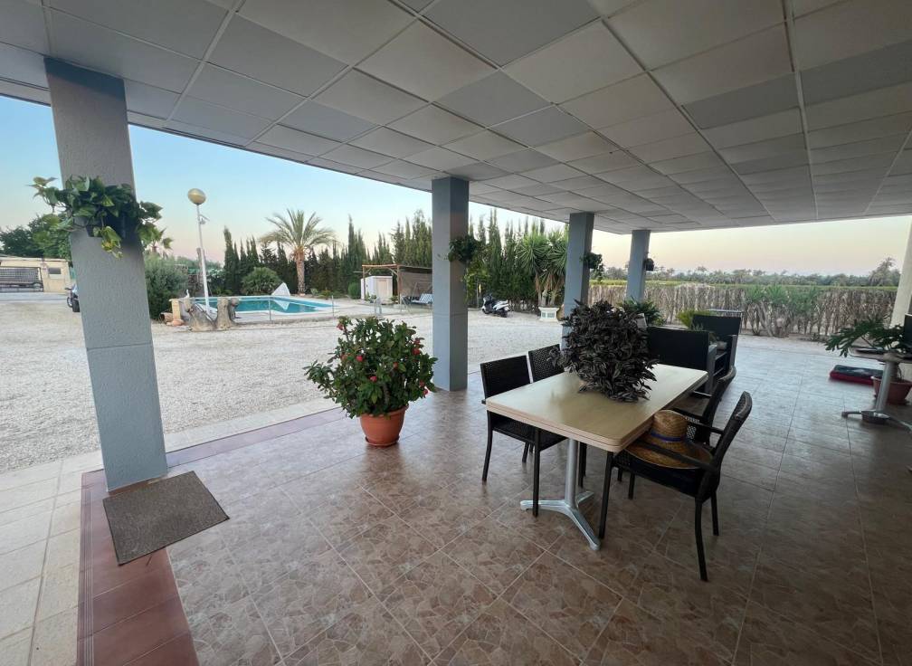Segunda mano - Chalet - Elche Pedanías - Algoda