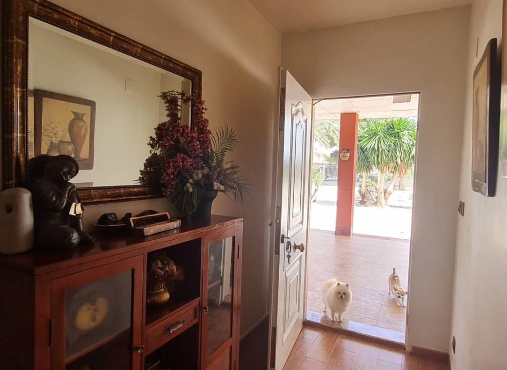 Segunda mano - Chalet - Elche Pedanías - Algoda