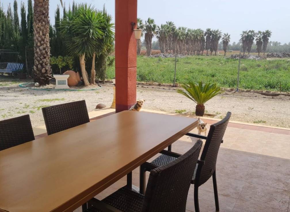 Segunda mano - Chalet - Elche Pedanías - Algoda