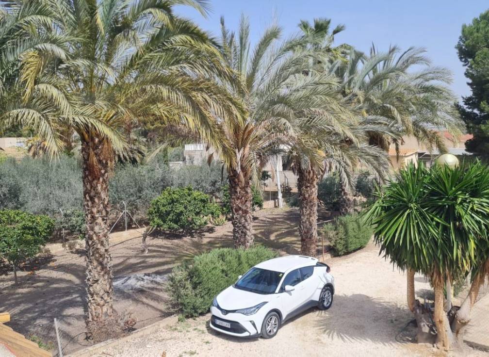 Segunda mano - Chalet - Elche Pedanías - Algoda