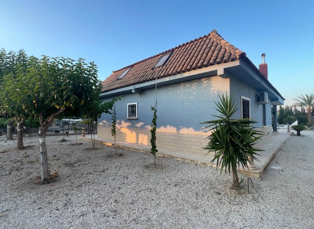 Segunda mano - Chalet - Elche Pedanías - Algoda