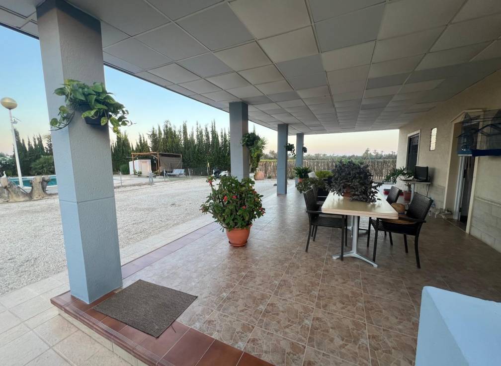 Segunda mano - Chalet - Elche Pedanías - Algoda