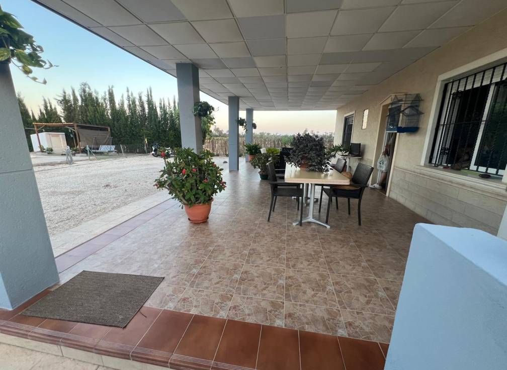 Segunda mano - Chalet - Elche Pedanías - Algoda