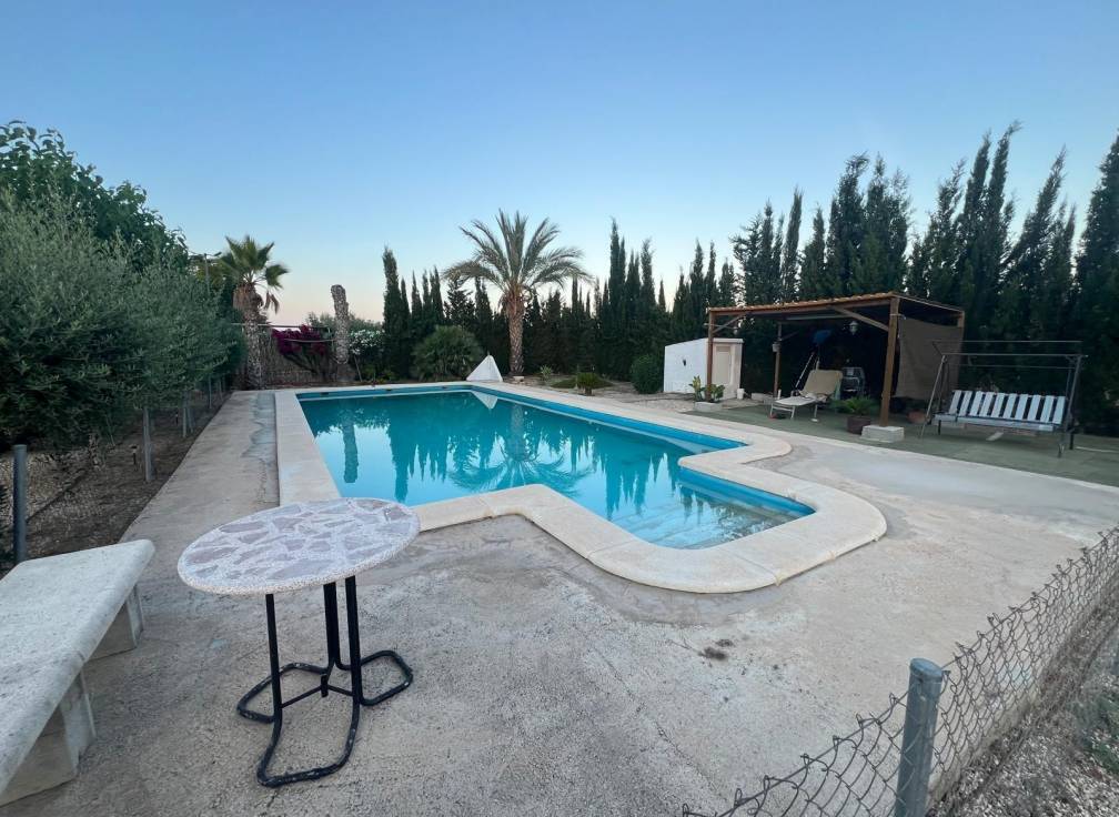 Segunda mano - Chalet - Elche Pedanías - Algoda