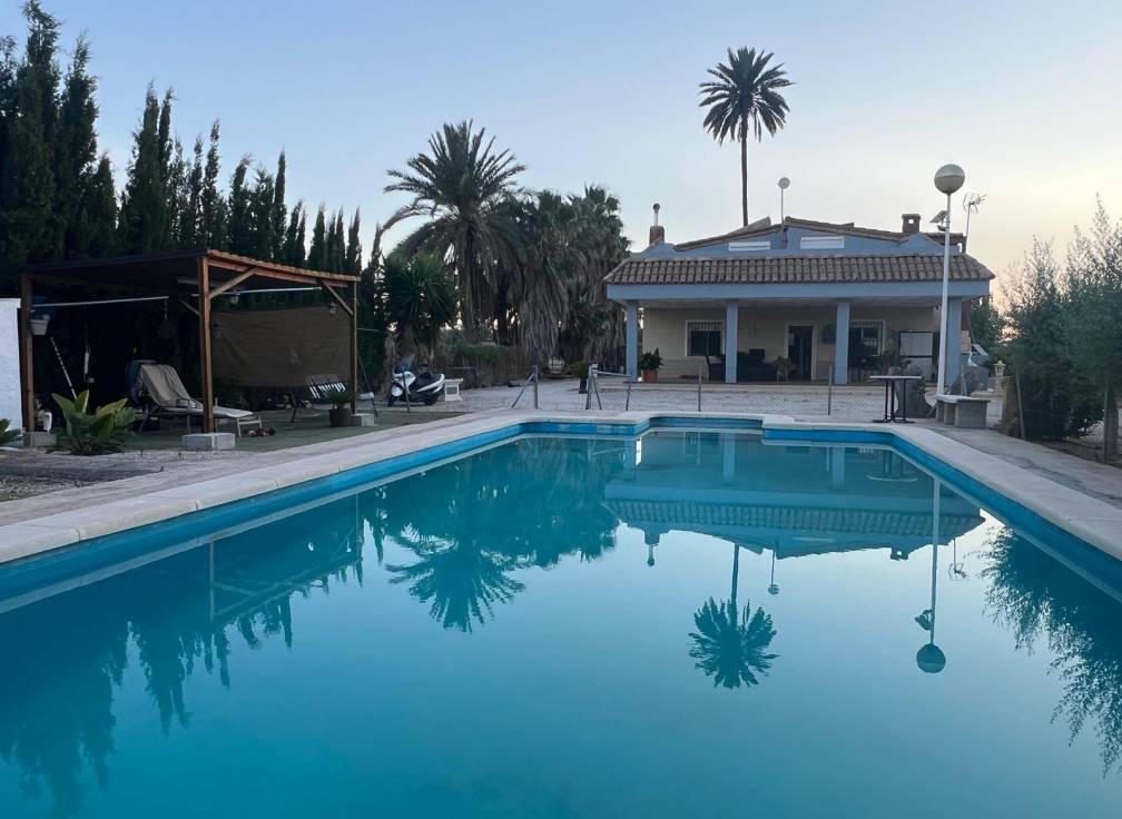 Segunda mano - Chalet - Elche Pedanías - Algoda
