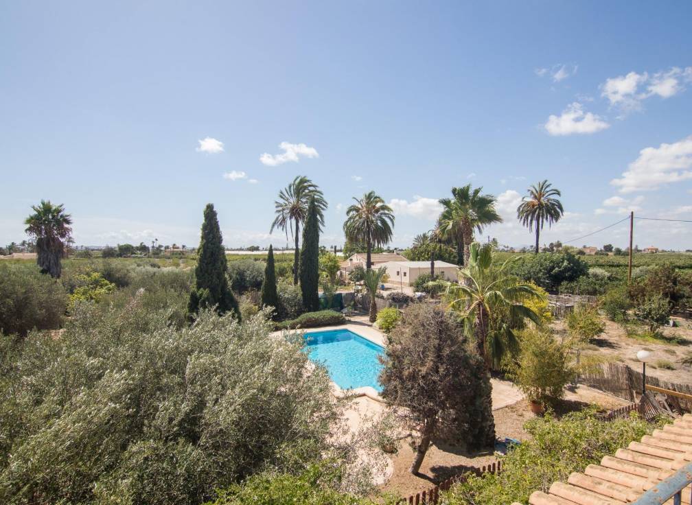 Segunda mano - Chalet - Elche Pedanías - Alzabares