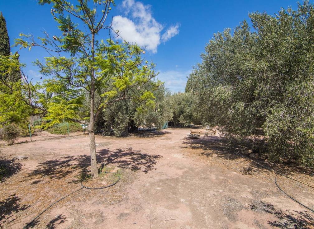 Segunda mano - Chalet - Elche Pedanías - Alzabares