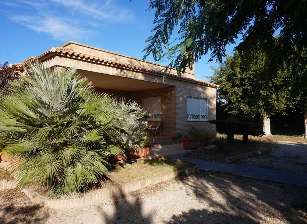Segunda mano - Chalet - Elche Pedanías - Alzabares
