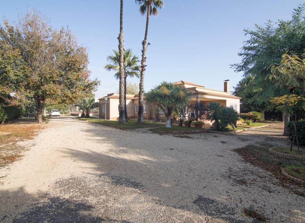 Segunda mano - Chalet - Elche Pedanías - Alzabares
