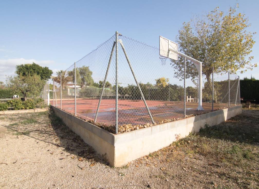 Segunda mano - Chalet - Elche Pedanías - Alzabares