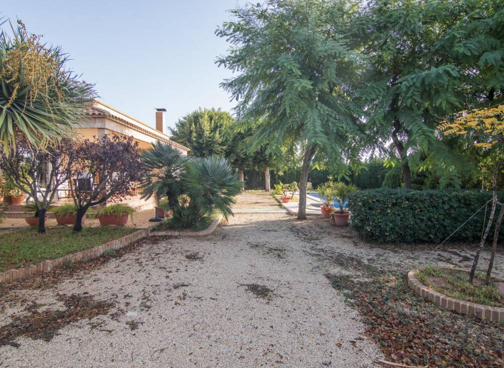 Segunda mano - Chalet - Elche Pedanías - Alzabares