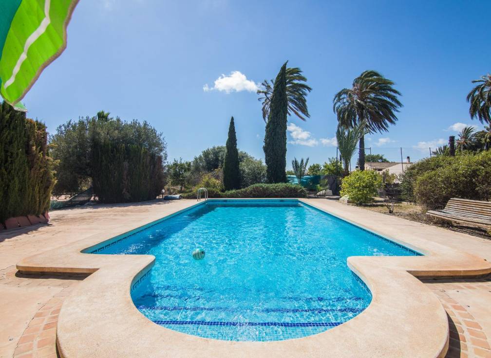 Segunda mano - Chalet - Elche Pedanías - Alzabares