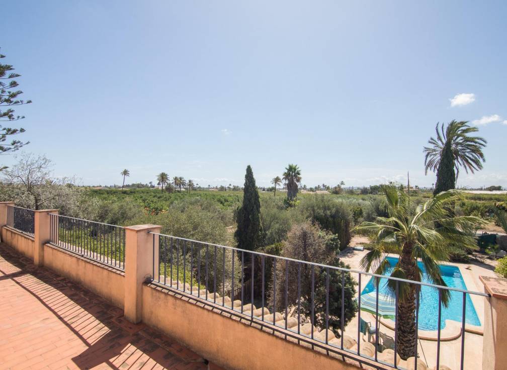 Segunda mano - Chalet - Elche Pedanías - Alzabares