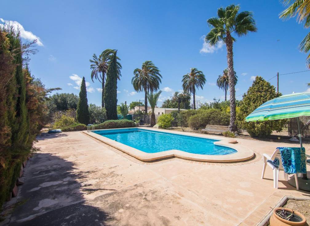 Segunda mano - Chalet - Elche Pedanías - Alzabares