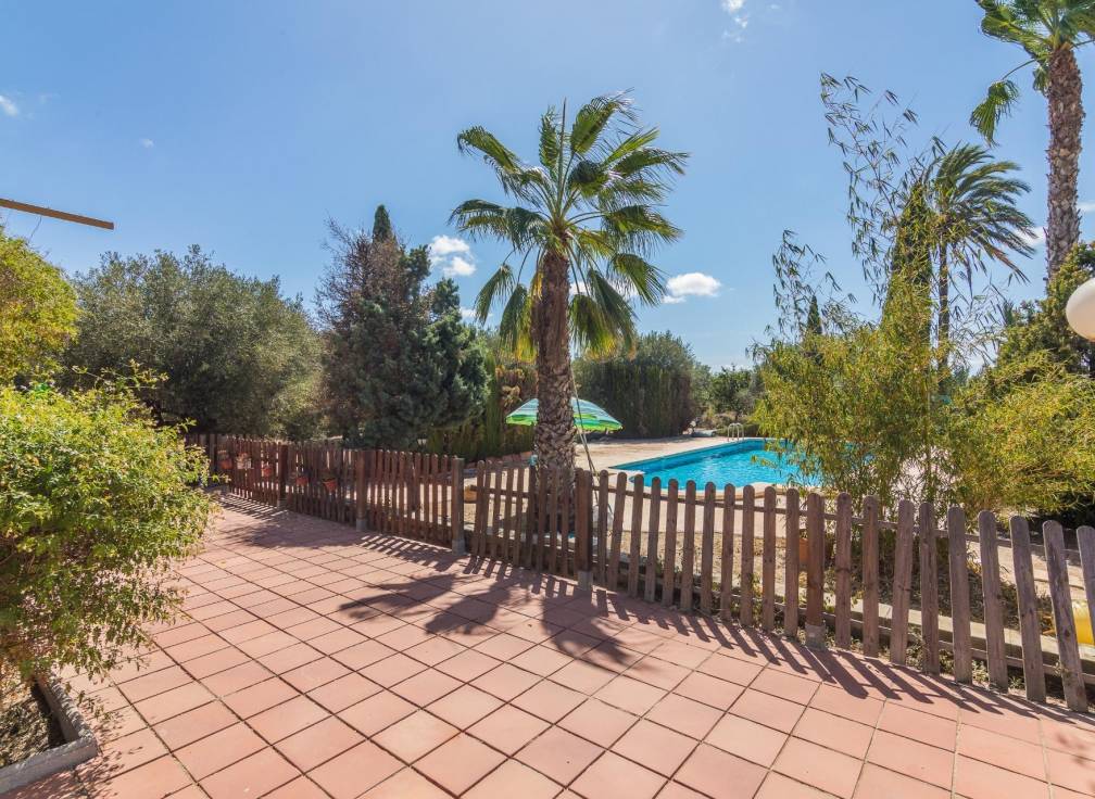 Segunda mano - Chalet - Elche Pedanías - Alzabares