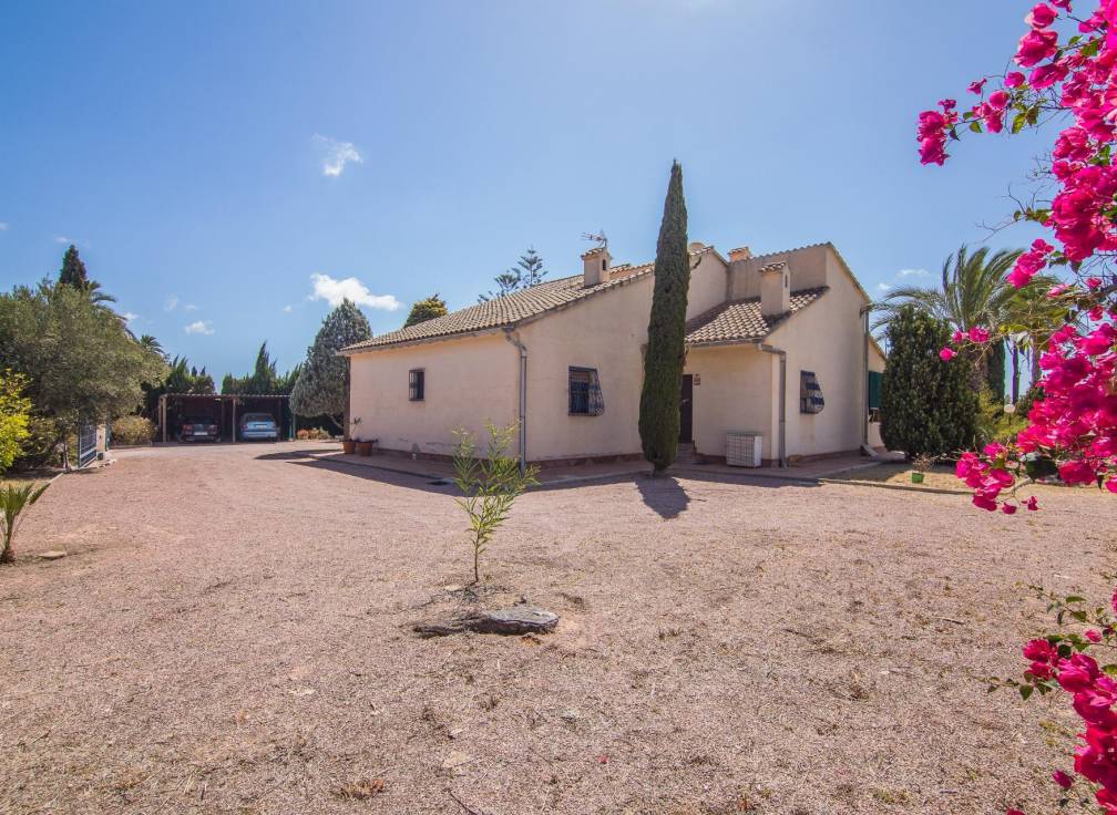 Segunda mano - Chalet - Elche Pedanías - Alzabares