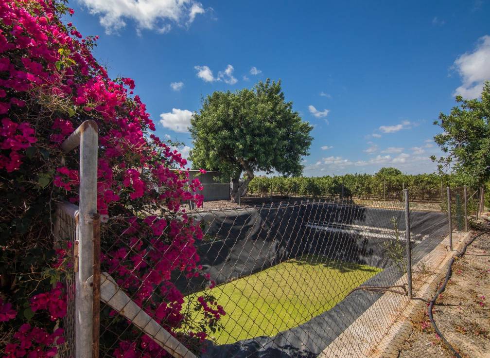 Segunda mano - Chalet - Elche Pedanías - Alzabares