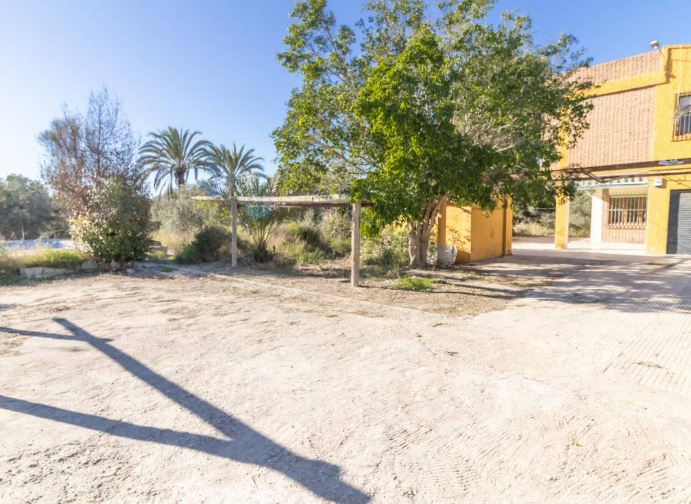 Segunda mano - Chalet - Elche Pedanías - Alzabares