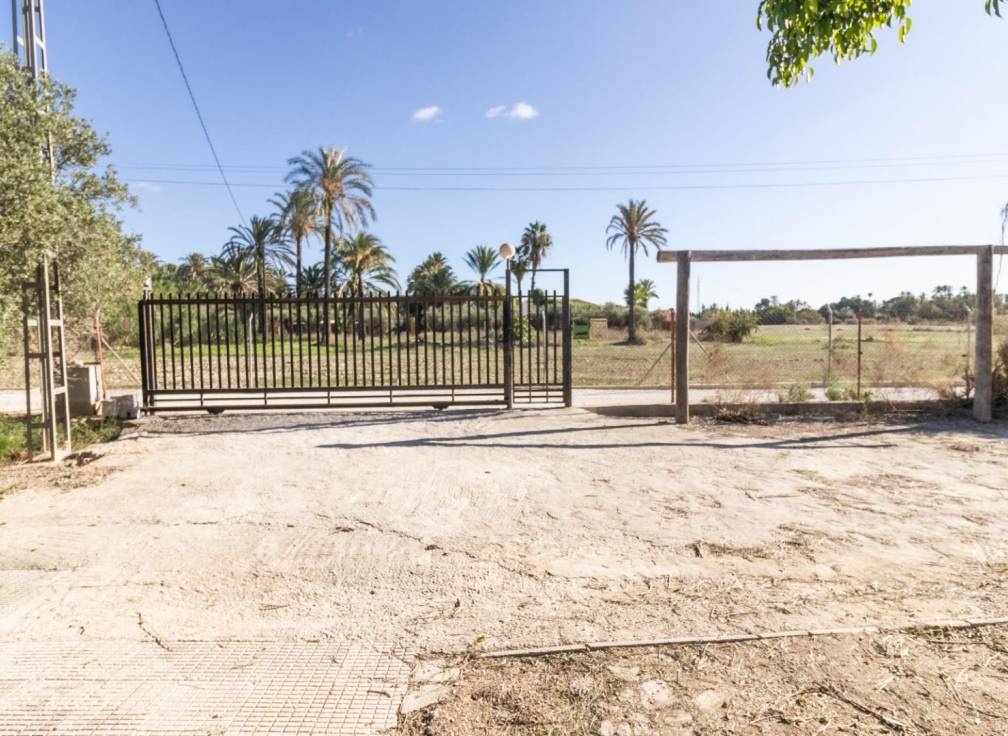 Segunda mano - Chalet - Elche Pedanías - Alzabares