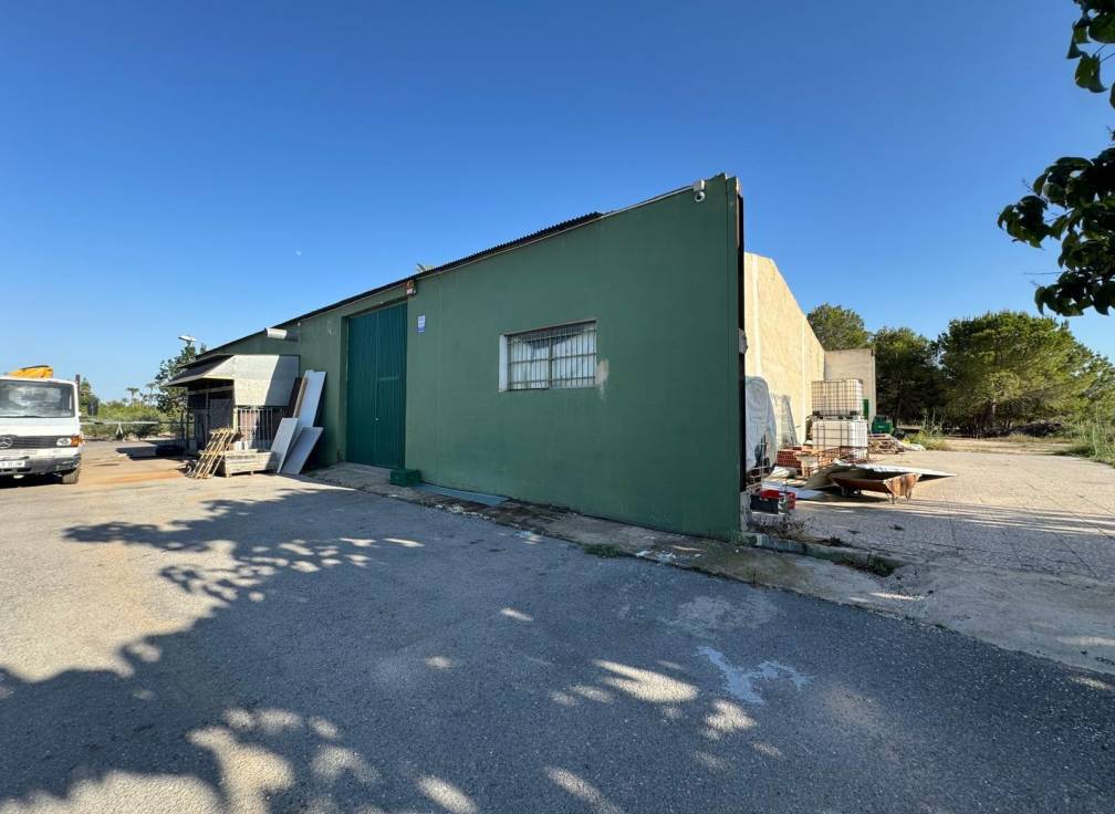 Segunda mano - Chalet - Elche Pedanías - Daimés