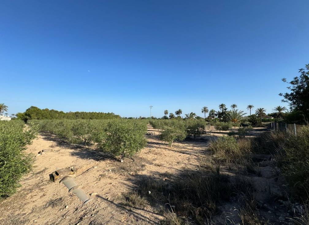 Segunda mano - Chalet - Elche Pedanías - Daimés