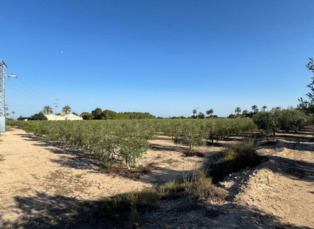Segunda mano - Chalet - Elche Pedanías - Daimés