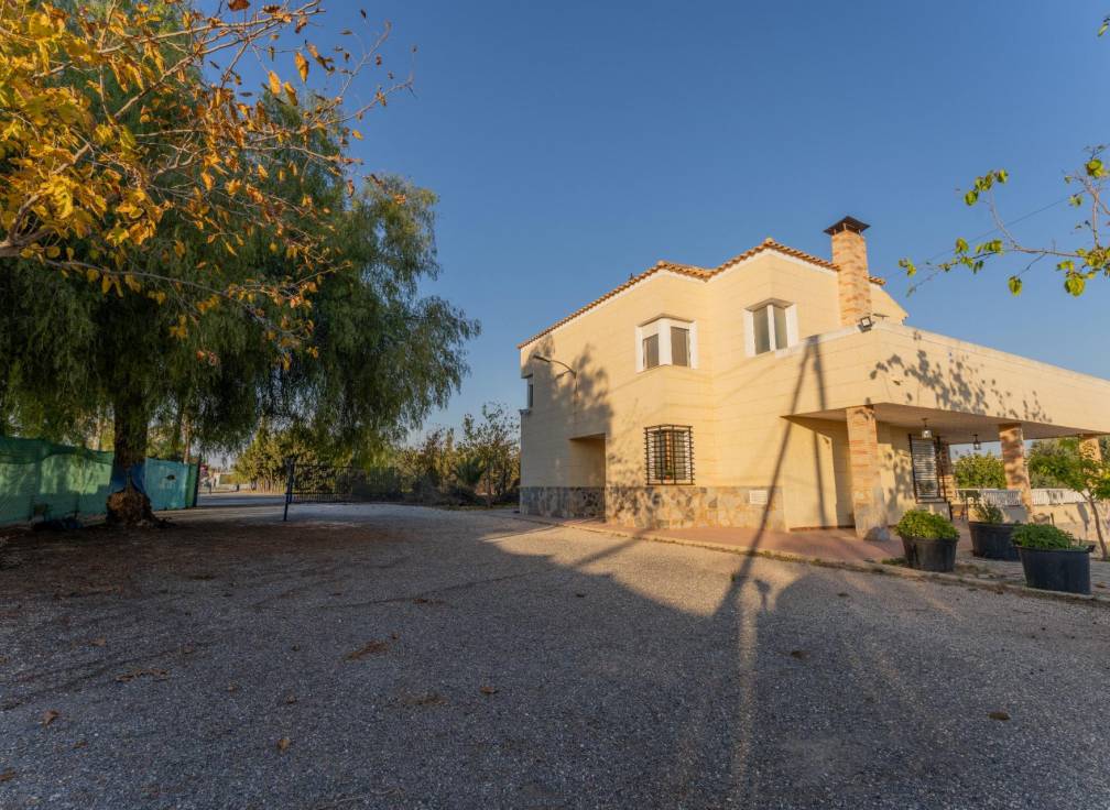 Segunda mano - Chalet - Elche Pedanías - Llano de san jose
