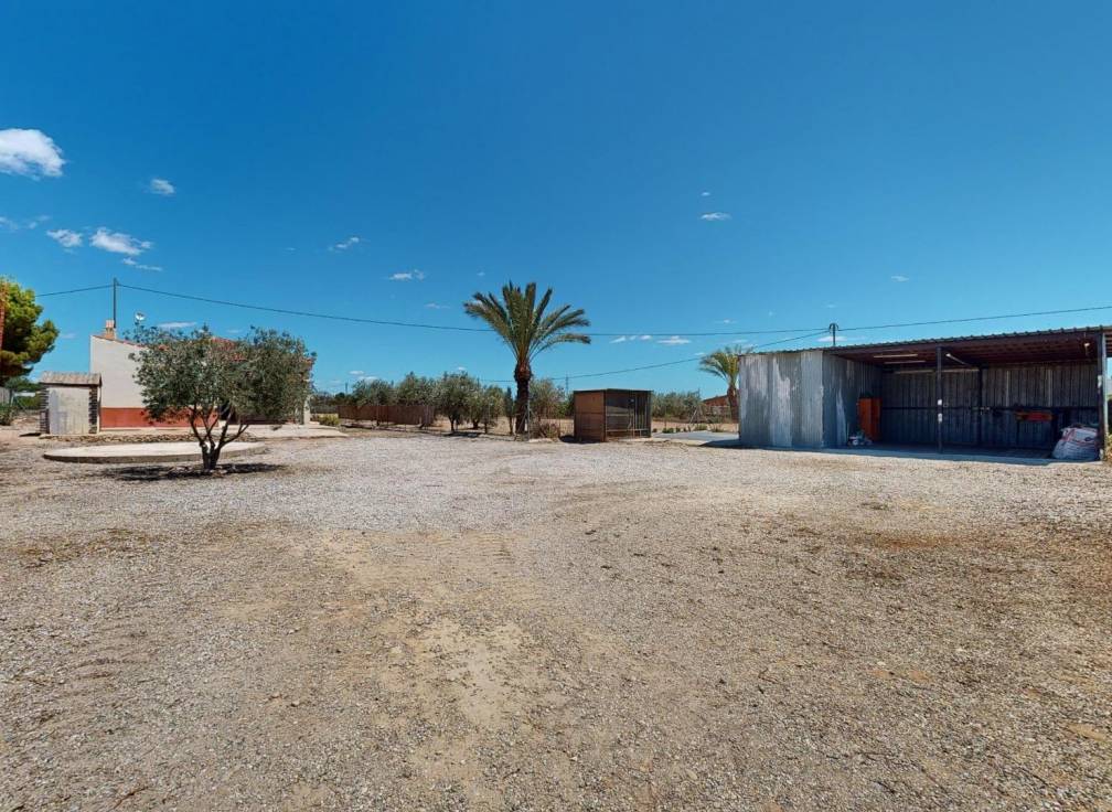 Segunda mano - Chalet - Elche Pedanías - Matola