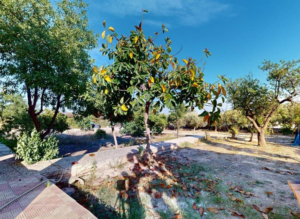 Segunda mano - Chalet - Elche Pedanías - Peña las Águilas