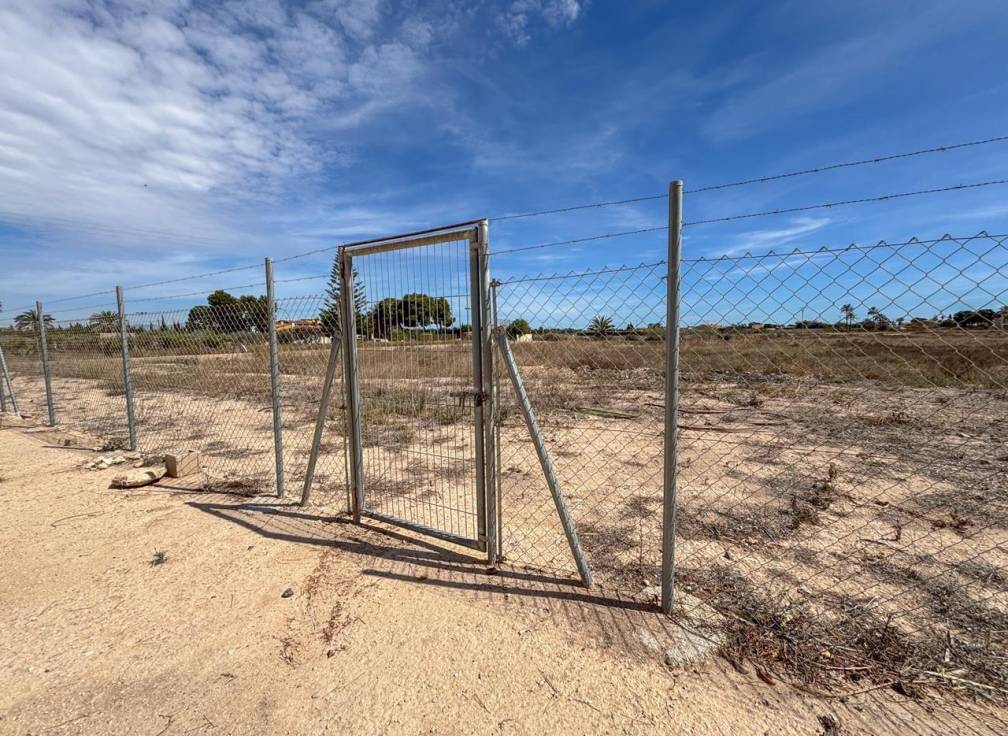 Segunda mano - Chalet - Elche Pedanías - Valverde