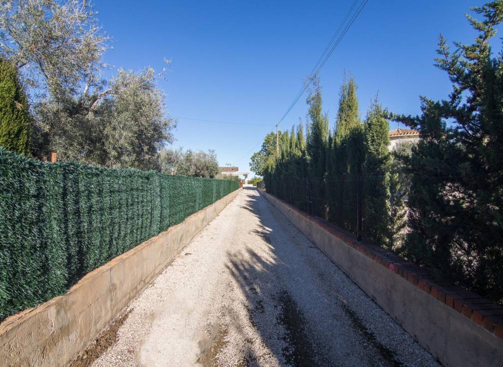 Segunda mano - Chalet - Elche Pedanías - Valverde