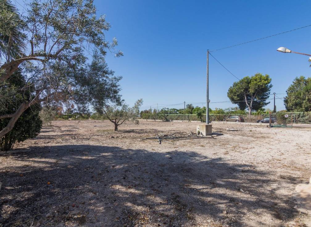 Segunda mano - Chalet - Elche Pedanías - xLas bayas