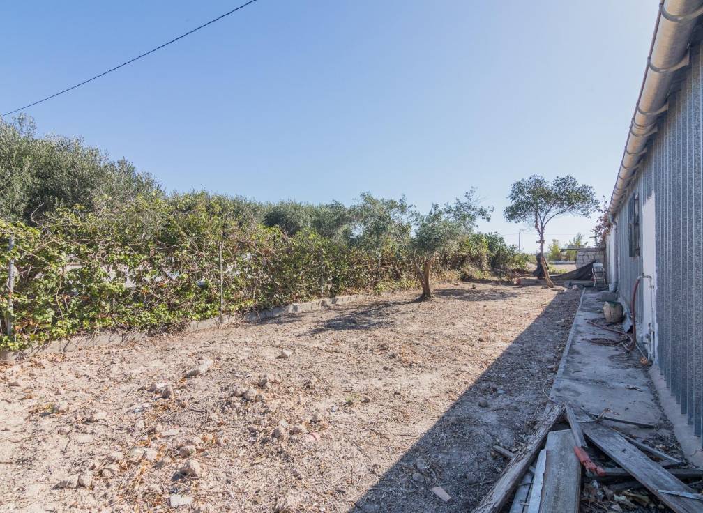 Segunda mano - Chalet - Elche Pedanías - xLas bayas